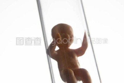 http://zhengzhou.nbgk120.com/post/206.html|郑州新闻中心