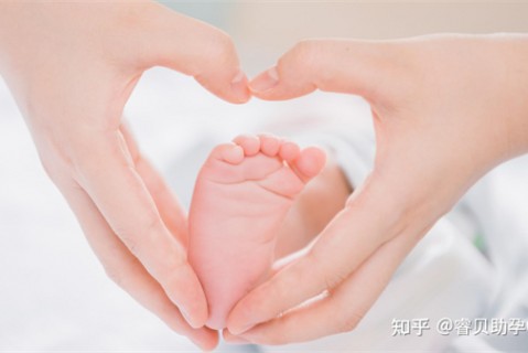 夏天郑州捐卵宝宝发烧 莫要急