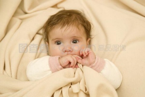 http://zhengzhou.nbgk120.com/post/188.html|郑州新闻中心